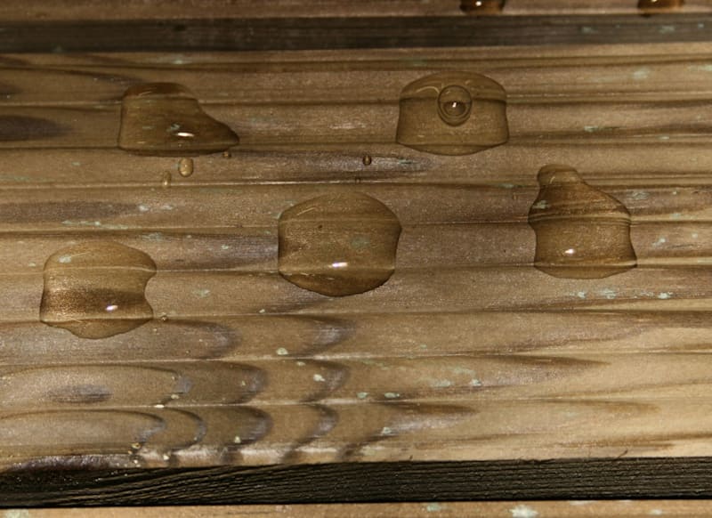 WoodGuard Plant-Based – Invisible Wood Protection Against Water ...