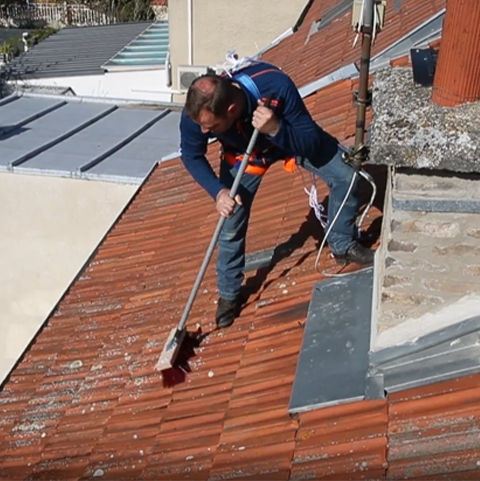 Produit anti dépôt vert, fongicide toiture